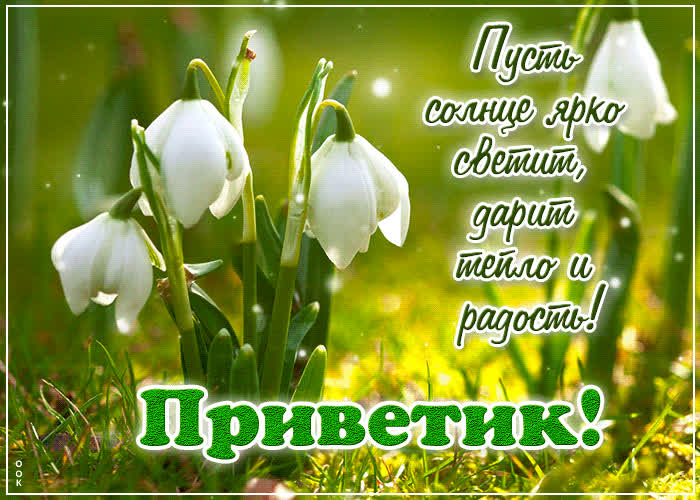 Picture пусть солнце ярко светит, дарит тепло и радость! приветик