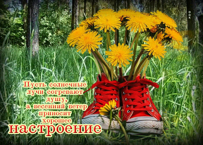 Postcard пусть солнечные лучи согревают душу, а весенний ветер приносит хорошее настроение