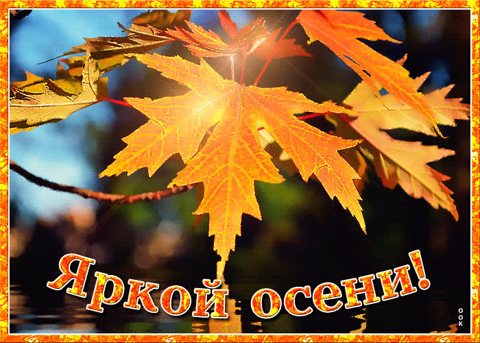Картинка пусть светит солнце