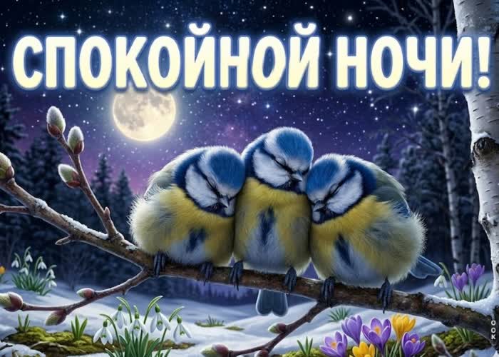Postcard пусть тебе приснятся чудеса