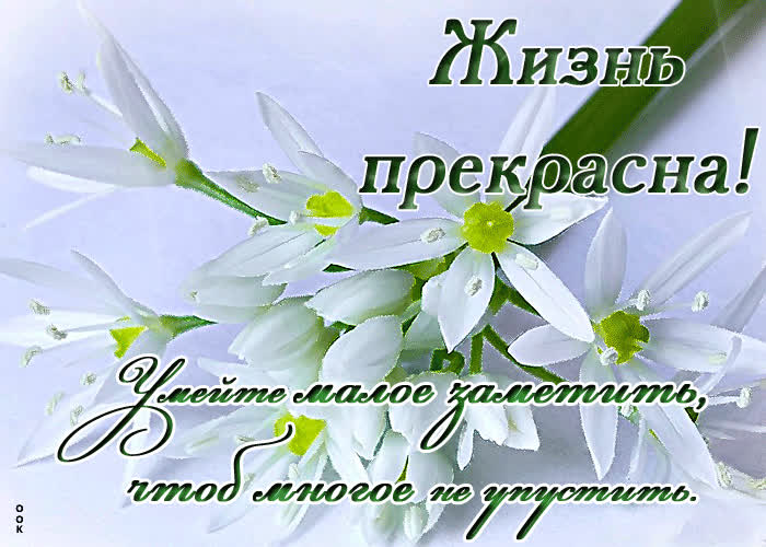 Картинка пусть у тебя всегда всё будет хорошо