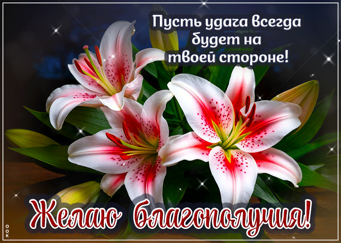 Postcard пусть удача всегда будет на твоей стороне! желаю благополучия