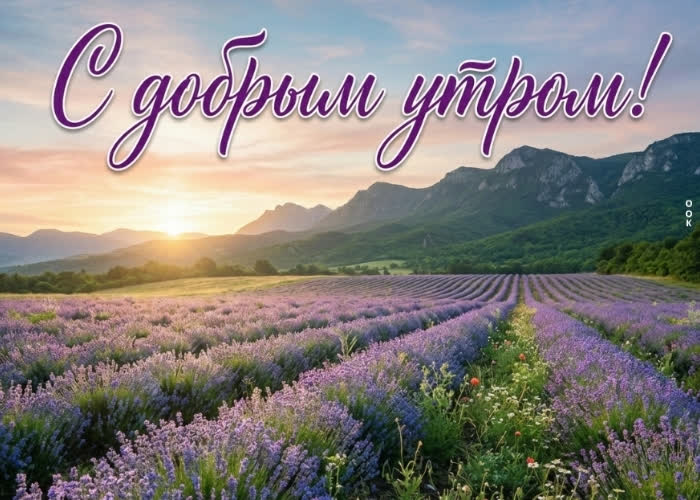 Picture пусть утро будет лёгким, как ветер.