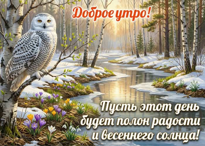 Postcard пусть утро будет светлым, лёгким и по-настоящему весенним. хорошего дня!