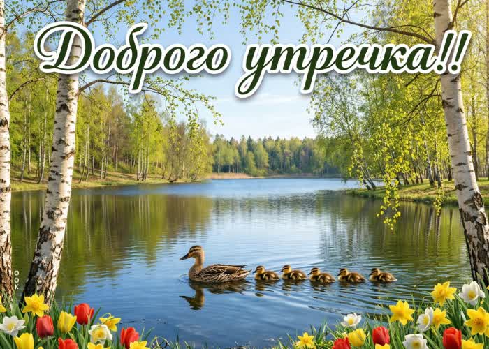 Picture пусть утро подарит тебе энергию и хорошее настроение