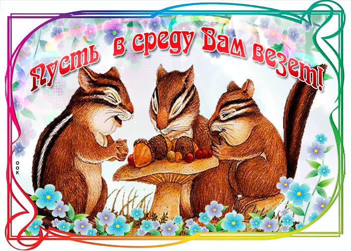 Картинка пусть в среду вам везет