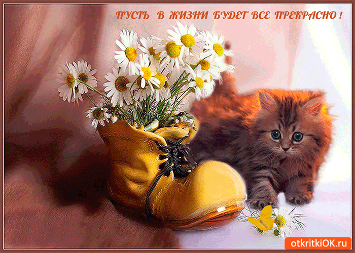 Картинка пусть в жизни будет всё прекрасно