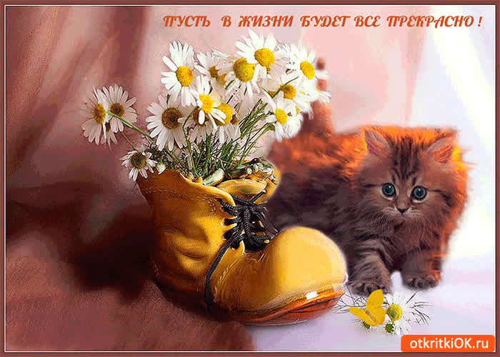 Картинка пусть в жизни будет всё прекрасно