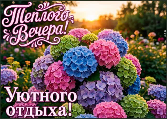 Postcard пусть вечер будет наполнен смехом и хорошими разговорами.