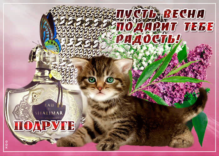 Картинка пусть весна подарит тебе радость