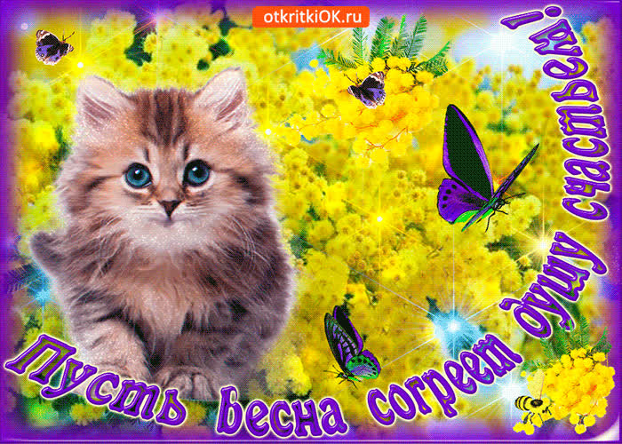 Картинка пусть весна согреет душу счастьем