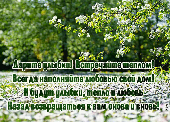 Картинка пусть всё будет у тебя