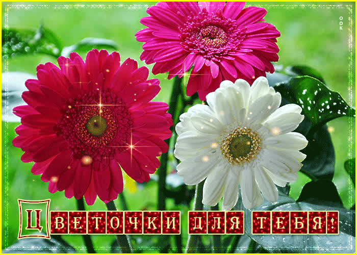 Картинка пусть все мечты у вас сбываются