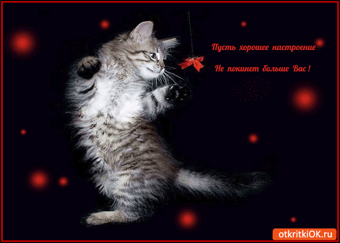 Открытка пусть хорошее настроение не покинет больше вас