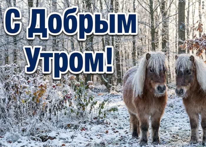 Postcard пусть зимний воздух подарит бодрость, спокойствие и вдохновение на весь день.