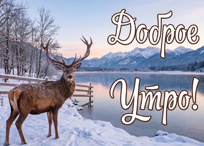Postcard пусть зимняя сказка за окном подарит ощущение лёгкости и радости.