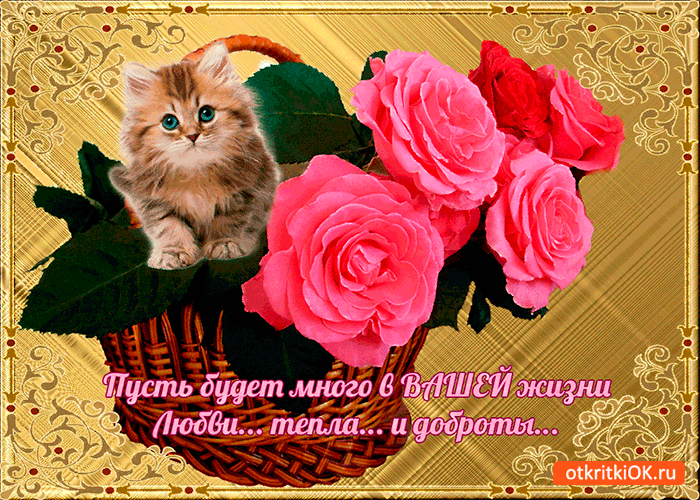 Открытка пусть будет много в вашей жизни любви