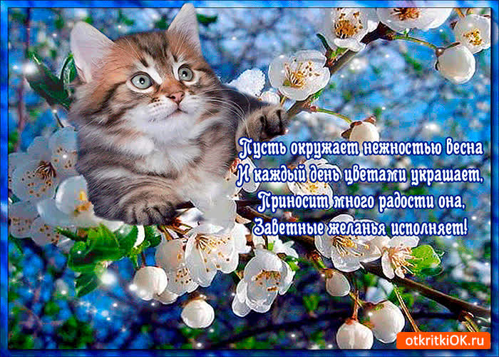 Картинка пусть окружает нежностью весна
