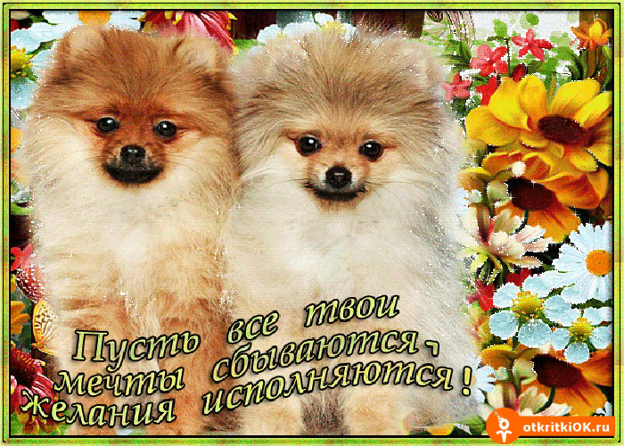 Открытка пусть сбудутся все твои мечты