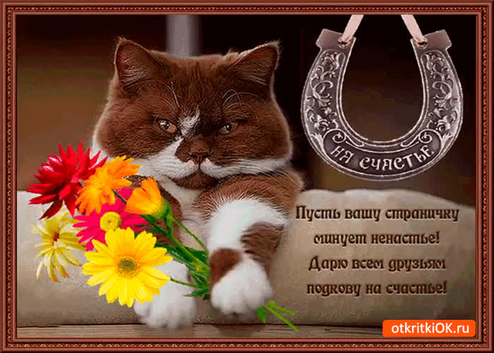 Картинка пусть вашу страничку минует ненастье