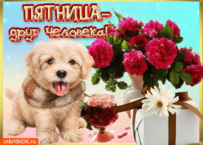 Картинка пятница - друг человека