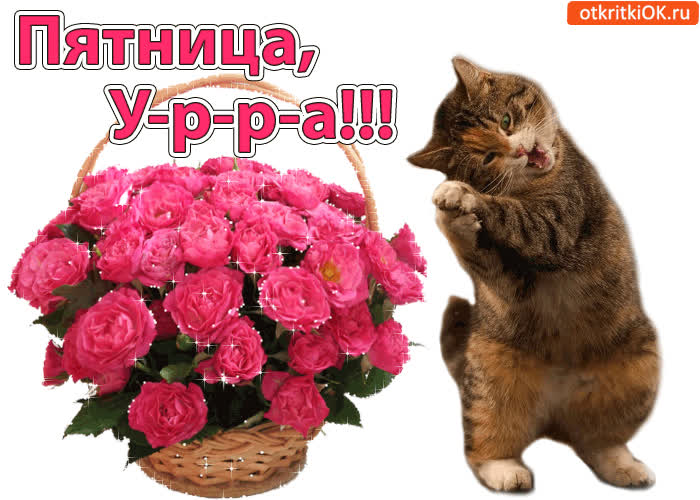 Картинка пятница! у-р-р-а!!!