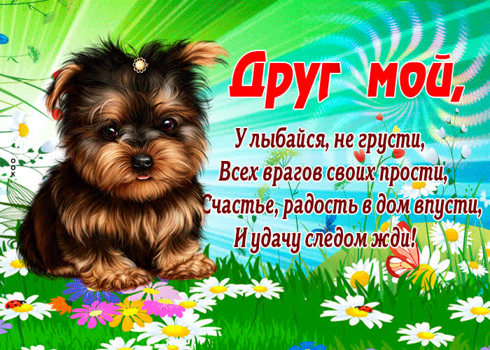 Картинка радость в дом впусти