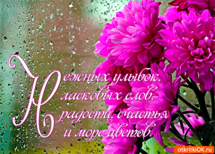 Картинка радости и счастья