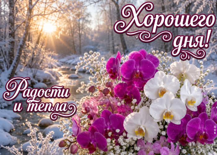 Postcard радости и тепла каждый день