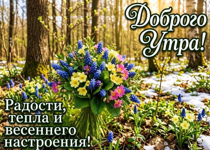 Picture радости и весеннего настроения!