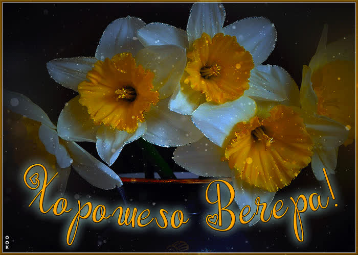 Postcard радостная и душевная гиф-открытка хорошего вечера