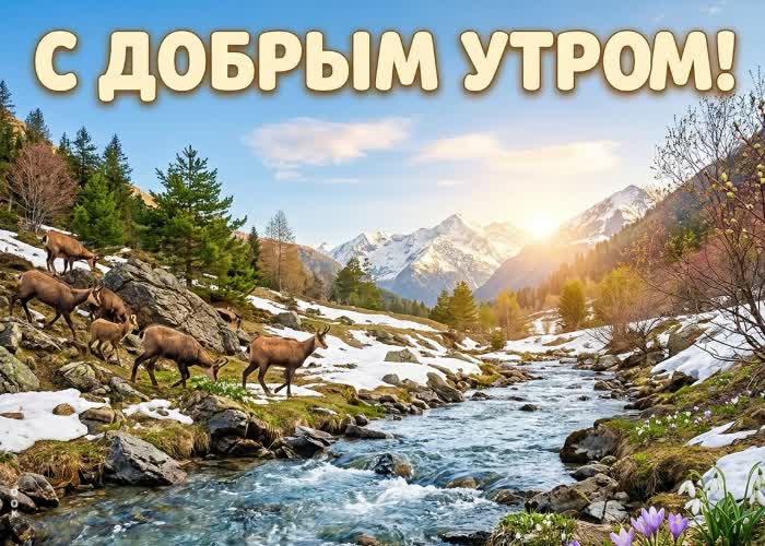 Postcard радостного мартовского утра