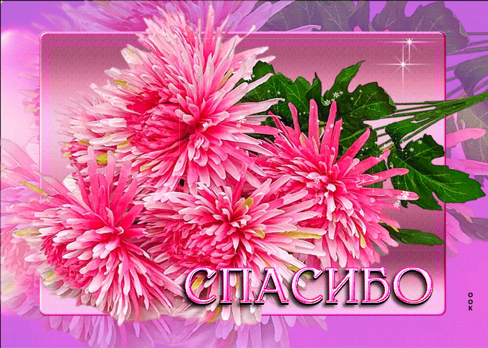 Picture романтическая анимационная открытка с цветами спасибо