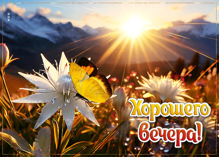 Postcard романтичная и нежная открытка с бабочкой хорошего вечера