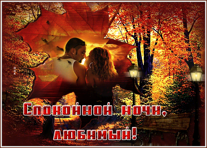 Postcard романтичная открытка спокойной ночи, любимый! с парой