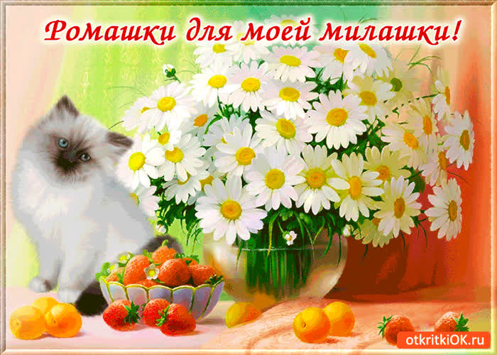 Картинка ромашки для моей милашки