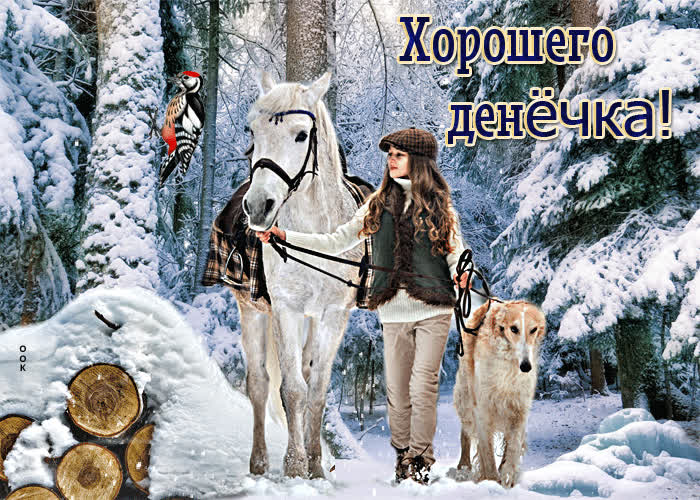 Postcard роскошная открытка хорошего денечка! с девушкой и животными