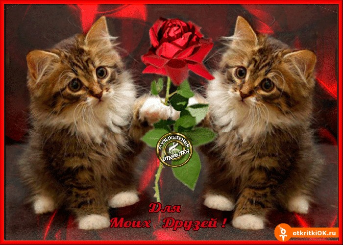 Картинка роза для моих друзей