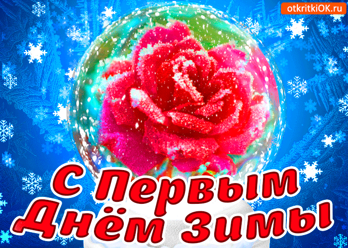 Открытка роза с первым днём зимы