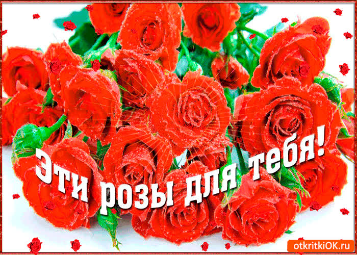 Картинка розы лишь для тебя