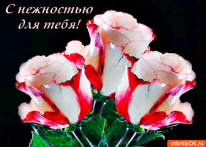 Открытка розы с нежностью для тебя