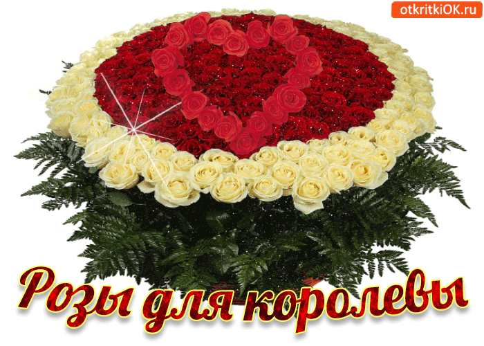 Картинка розы для королевы!