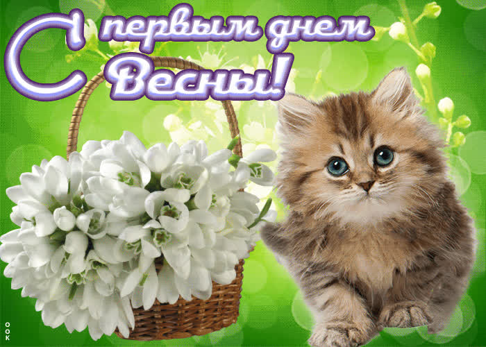 Картинка картинка с 1 марта