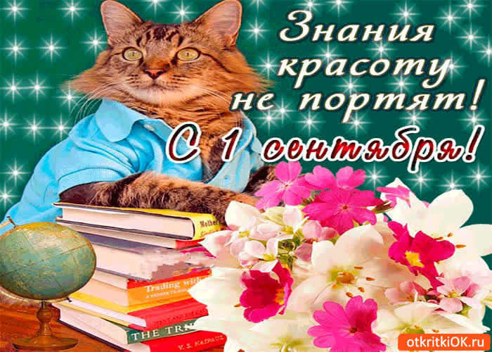Картинка с 1 сентября - знания красоту не портят