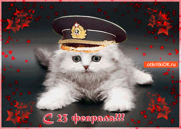 Картинка с 23 февраля друзья