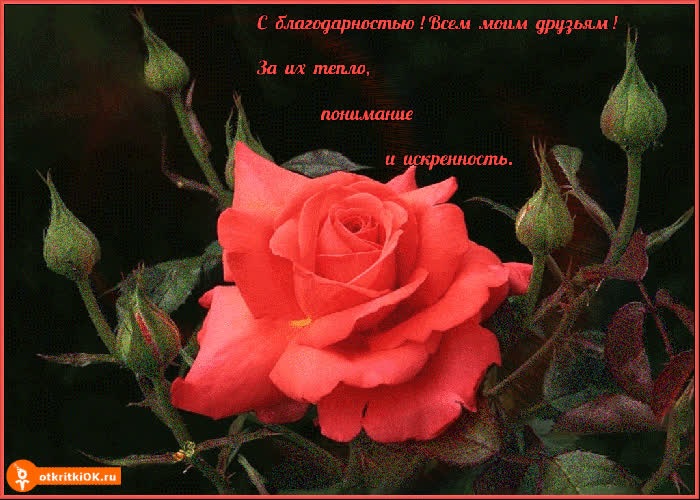 Картинка с благодарностью, всем моим друзьям