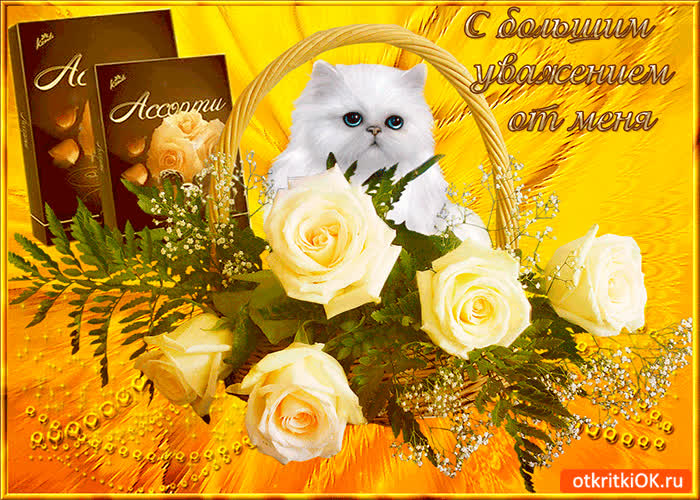 Картинка с большим уважением от меня