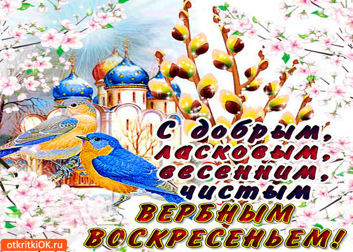 Картинка с чистым вербным воскресеньем
