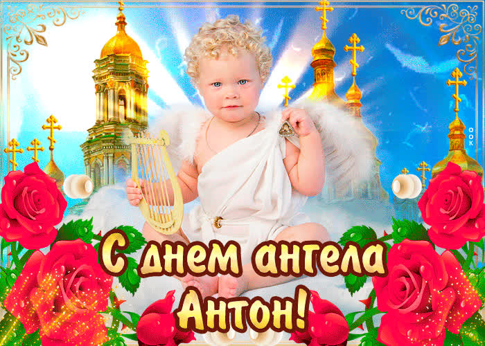 Картинка с днём ангела антон — красивые розы