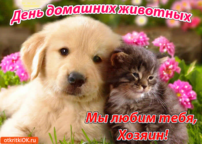 Картинка с днём домашних животных! 30 ноября